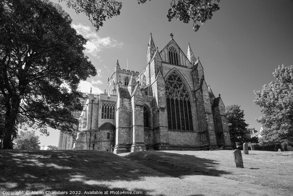 Ripon Cathedral Posterior View Monochrome  Picture Board by Alison Chambers