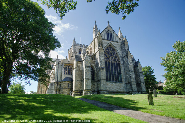 Ripon Cathedral Posterior View Colour  Picture Board by Alison Chambers