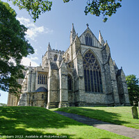 Buy canvas prints of Ripon Cathedral Posterior View Colour  by Alison Chambers