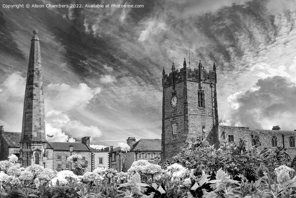 Richmond Church and Obelisk Monochrome  Picture Board by Alison Chambers