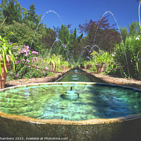 Buy canvas prints of Alhambra Garden Leeds by Alison Chambers