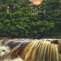 Buy canvas prints of Richmond Falls Portrait  by Alison Chambers