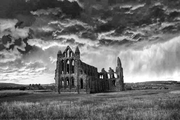 Whitby Abbey Storm Clouds Monochrome  Picture Board by Alison Chambers