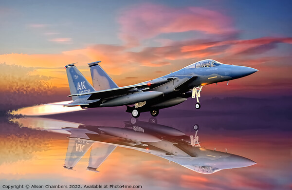 F-15  Eagle Picture Board by Alison Chambers
