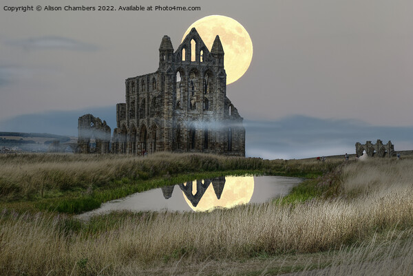 Whitby Abbey  Picture Board by Alison Chambers