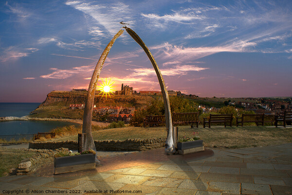 Whitby Whalebone Arch  Picture Board by Alison Chambers