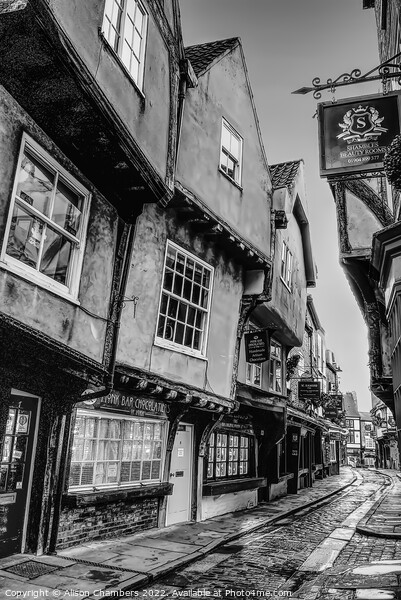 York Shambles Monochrome  Picture Board by Alison Chambers