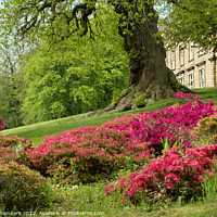 Buy canvas prints of Cannon Hall Barnsley  by Alison Chambers