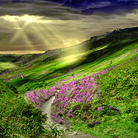 Buy canvas prints of Peak District Heather Moor by Alison Chambers