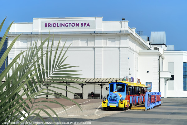 Bridlington East Yorkshire  Picture Board by Alison Chambers