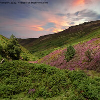 Buy canvas prints of Peak District Sunset Heather Moor  by Alison Chambers