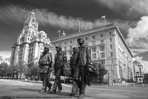 The Beatles Statue Liverpool Monochrome  Picture Board by Alison Chambers
