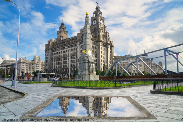Liverpool Liver Building  Picture Board by Alison Chambers
