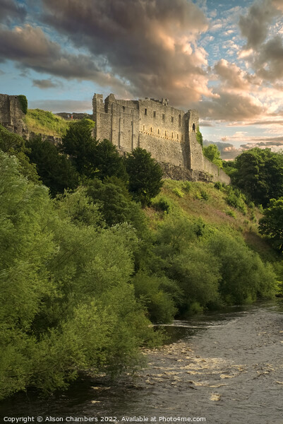 Richmond Castle North Yorkshire  Picture Board by Alison Chambers