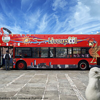Buy canvas prints of Liverpool Bus and Photobomber by Alison Chambers
