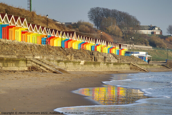 Scarborough Beach Huts Reflection Picture Board by Alison Chambers