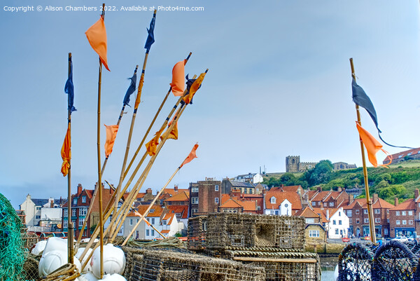 Whitby North Yorkshire  Picture Board by Alison Chambers