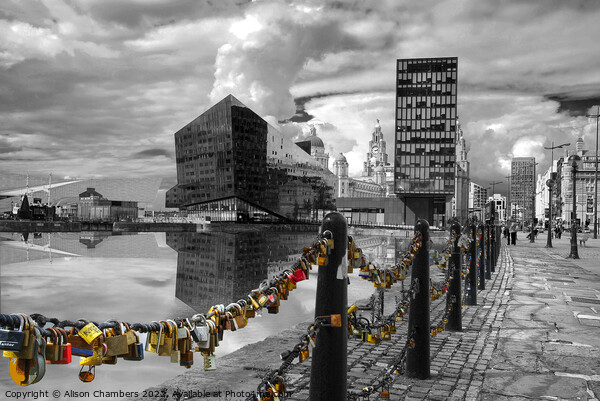 Canning Dock Liverpool  Picture Board by Alison Chambers