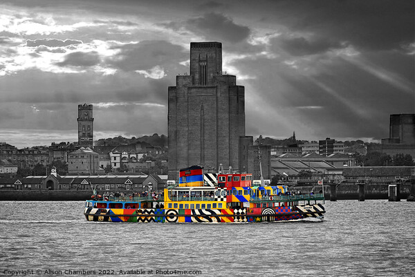 Liverpool Mersey Ferry  Picture Board by Alison Chambers