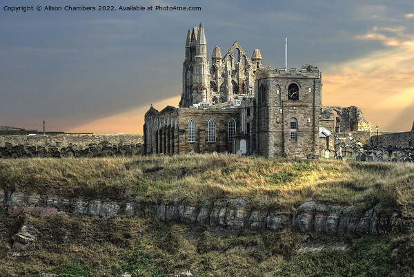 Whitby Abbey and Church Picture Board by Alison Chambers