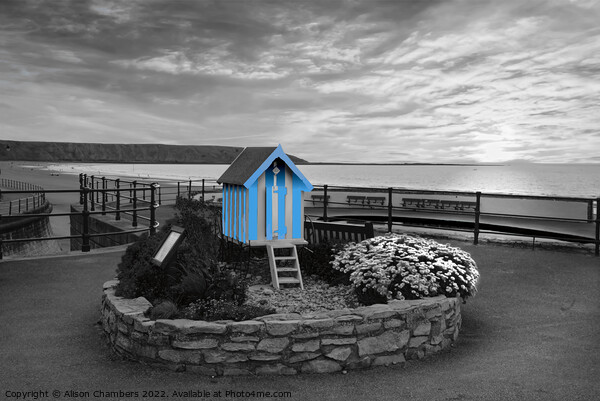 Filey Bathing Machine Colour Selection  Picture Board by Alison Chambers