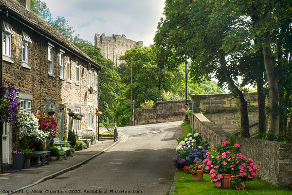 Richmond Castle and Cottages Picture Board by Alison Chambers