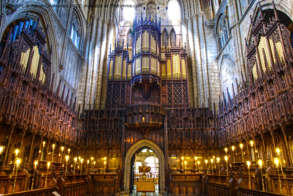 Ripon Cathedral Great Organ Picture Board by Alison Chambers