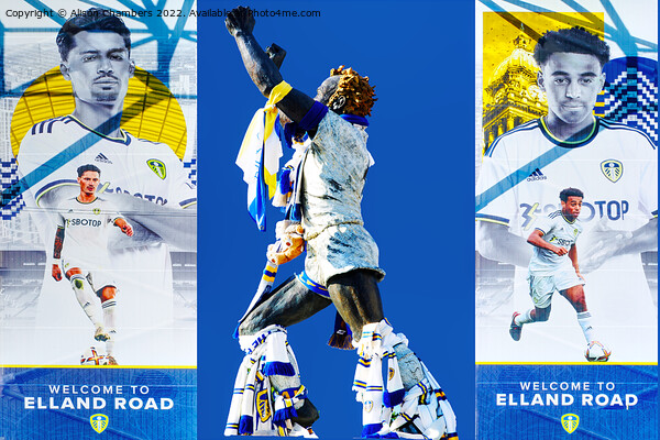 Welcome To Elland Road  Picture Board by Alison Chambers