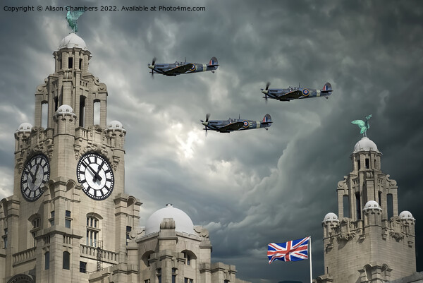 Liverpool Spitfires Picture Board by Alison Chambers