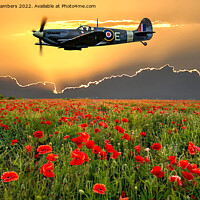 Buy canvas prints of Spitfire Poppy Field Memorial Flight by Alison Chambers