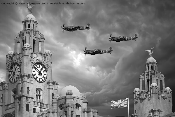 Liverpool Spitfires Monochrome  Picture Board by Alison Chambers