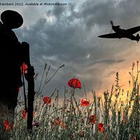 Buy canvas prints of Lest We Forget The Unknown Soldier  by Alison Chambers