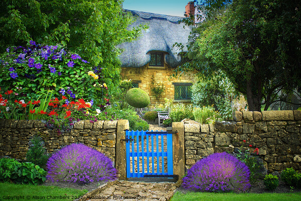 English Cottage Garden Picture Board by Alison Chambers