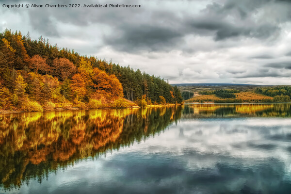 Langsett Reservoir Autumn Picture Board by Alison Chambers