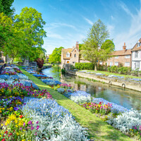 Buy canvas prints of Canterbury Westgate Gardens  by Alison Chambers