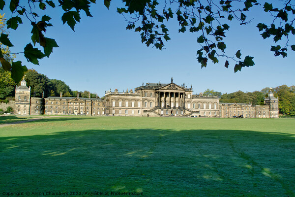 Wentworth Woodhouse Picture Board by Alison Chambers