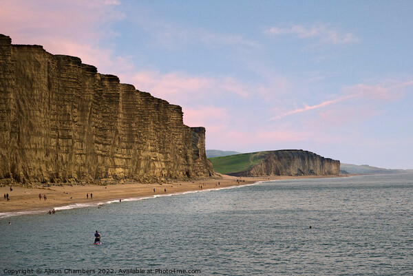 West Bay Cliffs Picture Board by Alison Chambers