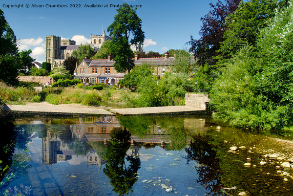Ripon Cathedral From River Skell Picture Board by Alison Chambers