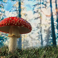 Buy canvas prints of Woodland Fly Agaric Toadstool by Alison Chambers