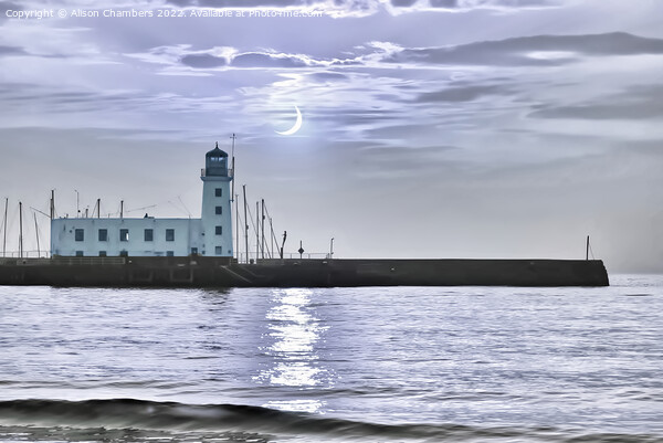 Moonlit Scarborough Lighthouse  Picture Board by Alison Chambers