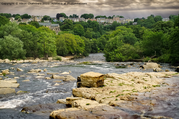 Richmond River Swale Picture Board by Alison Chambers