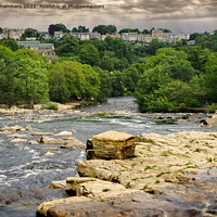 Buy canvas prints of Richmond River Swale by Alison Chambers