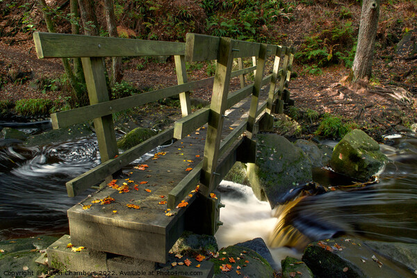 Padley Gorge Wooden Bridge Picture Board by Alison Chambers