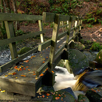 Buy canvas prints of Padley Gorge Wooden Bridge by Alison Chambers