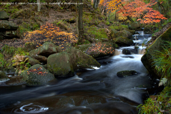 Swirling Waters at Padley Gorge Picture Board by Alison Chambers