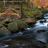 Buy canvas prints of Swirling Waters at Padley Gorge by Alison Chambers