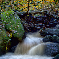 Buy canvas prints of Padley Gorge Waterfall by Alison Chambers