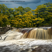 Buy canvas prints of Autumn Colour at Richmond Falls by Alison Chambers
