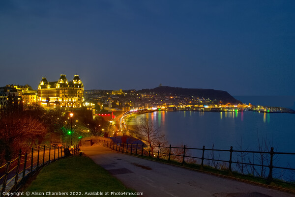 Scarborough At Night Picture Board by Alison Chambers