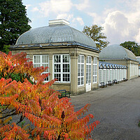 Buy canvas prints of Sheffield Botanical Gardens by Alison Chambers